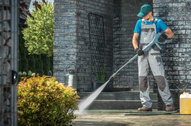 Best Gutter Cleaning and Brightening in West Sharyland, TX