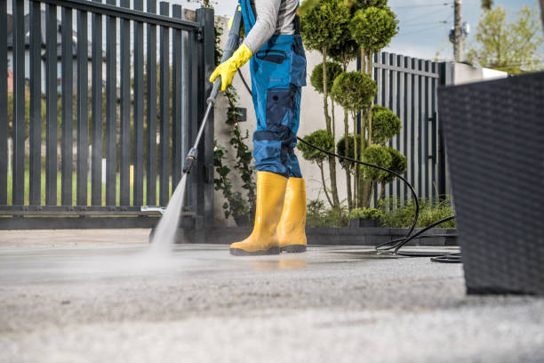 Best Driveway Cleaning and Restoration in West Sharyland, TX