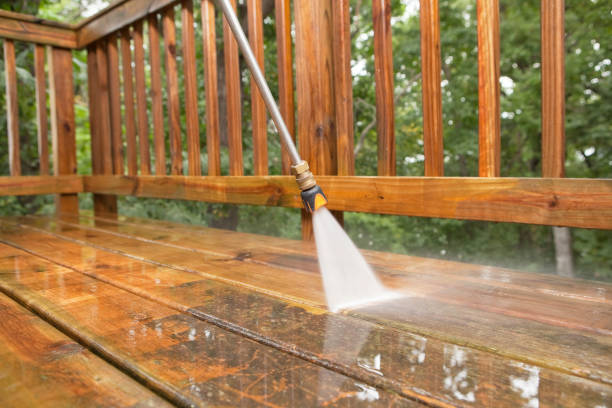 Best Roof Cleaning and Mildew Removal in West Sharyland, TX
